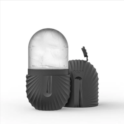 Chill Cube Facial Ice Roller
